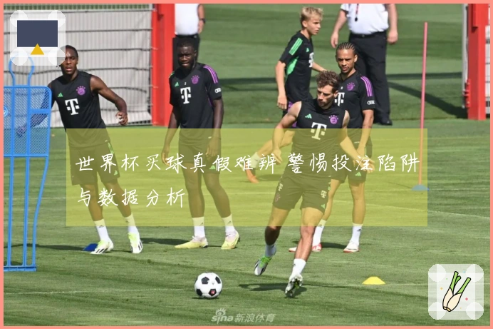 世界杯买球真假难辨 警惕投注陷阱与数据分析