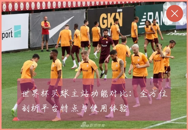 世界杯买球主站功能对比：全方位剖析平台特点与使用体验