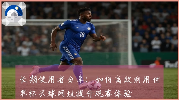 长期使用者分享：如何高效利用世界杯买球网址提升观赛体验
