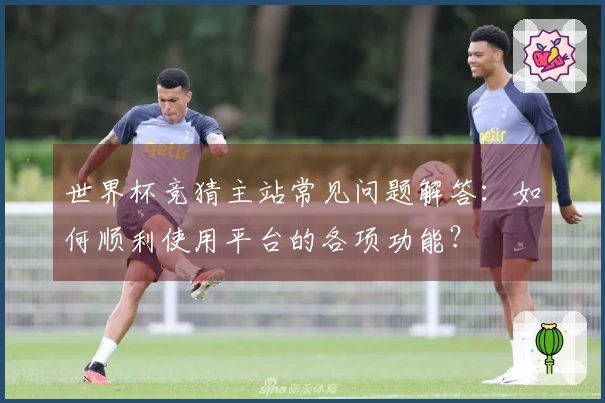 世界杯竞猜主站常见问题解答：如何顺利使用平台的各项功能？