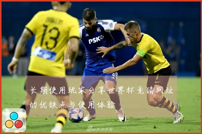 长期使用玩家分享世界杯竞猜网址的优缺点与使用体验