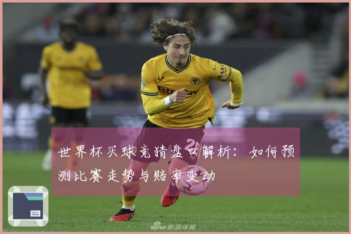 世界杯买球竞猜盘口解析：如何预测比赛走势与赔率变动