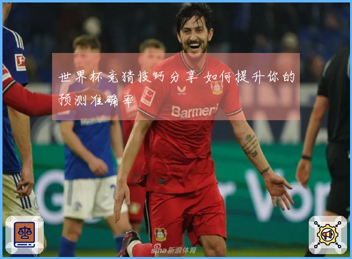 世界杯竞猜技巧分享 如何提升你的预测准确率