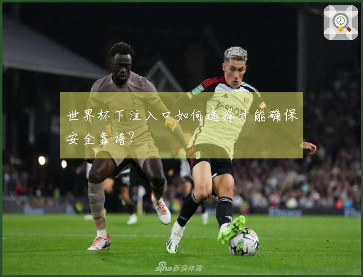世界杯下注入口如何选择才能确保安全靠谱？