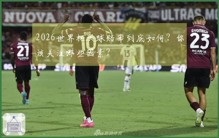 2026世界杯买球赔率到底如何？你该关注哪些因素？